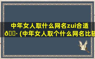 中年女人取什么网名zui
合适 🌷 (中年女人取个什么网名比较优雅好听)